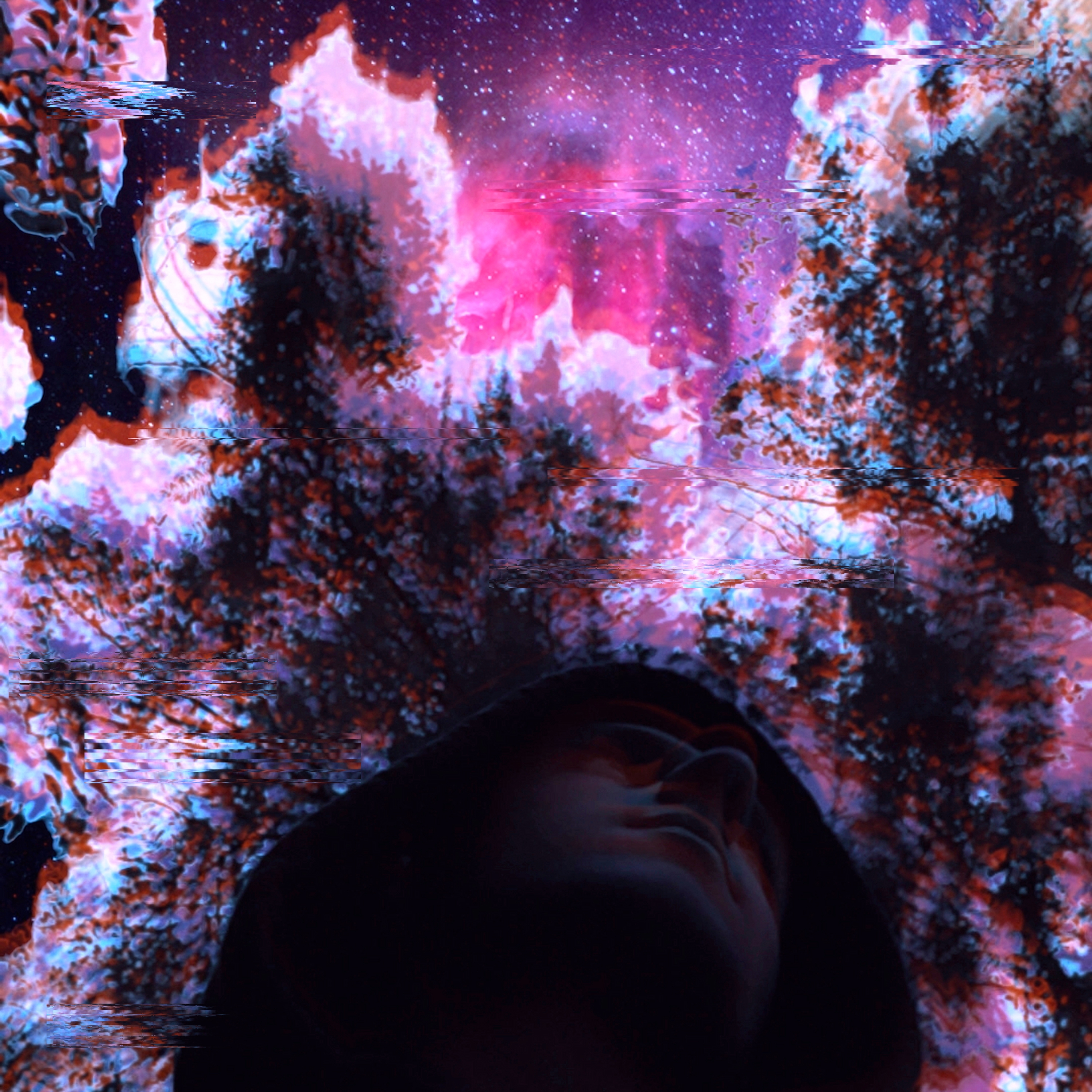 Portada The Universe